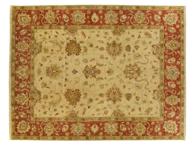 Farhan Ziegler 167